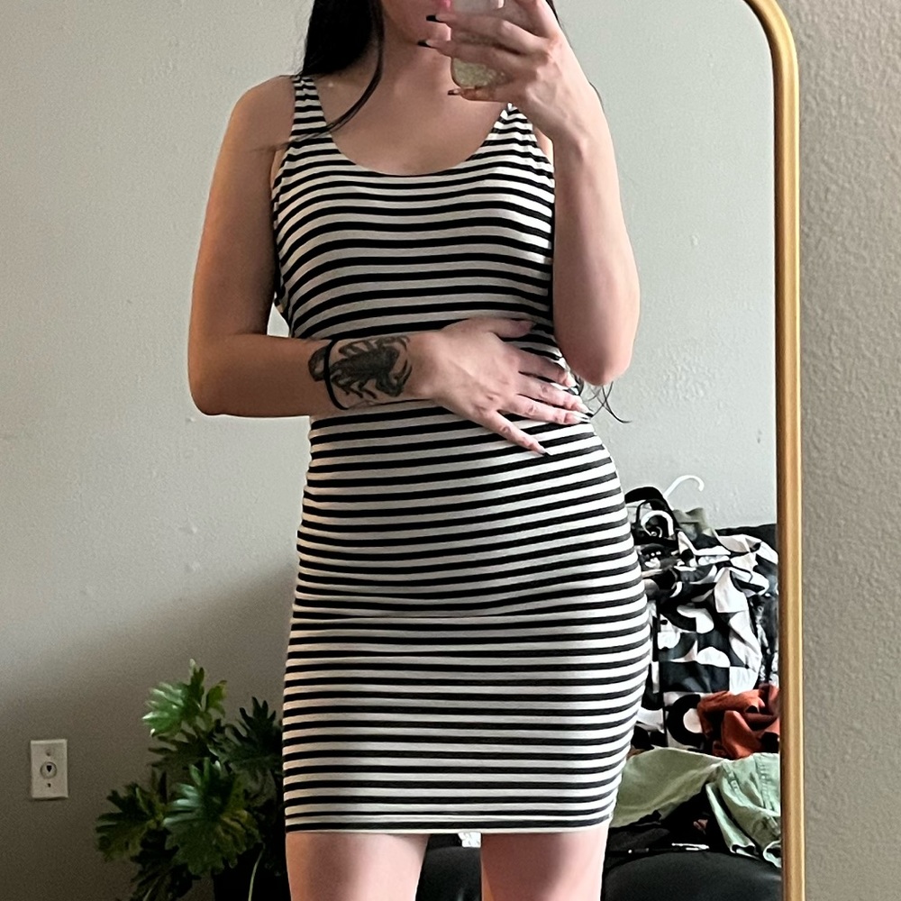 american apparel dress